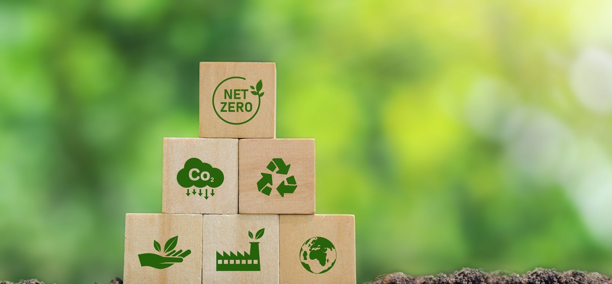 The Reluctant Net Zero Delivery Drivers